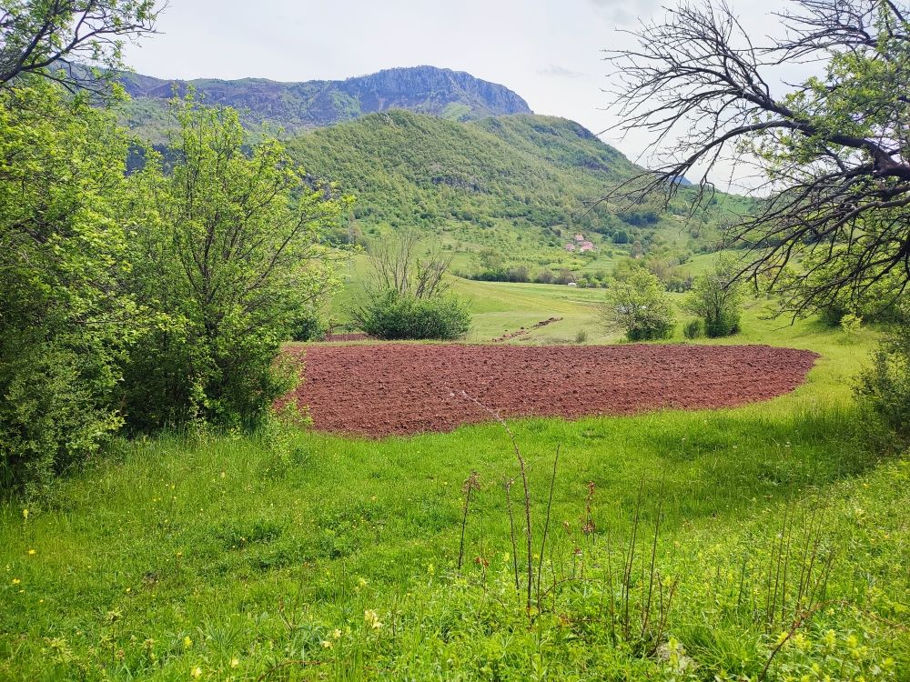 Дом в Никшиче, Черногория, 77 м² - фото 4