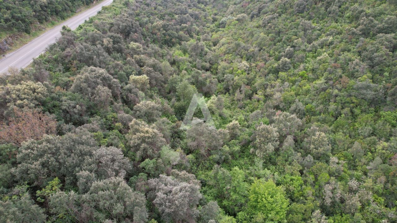 Земля в Которе, Черногория, 3 585 м² - фото 15