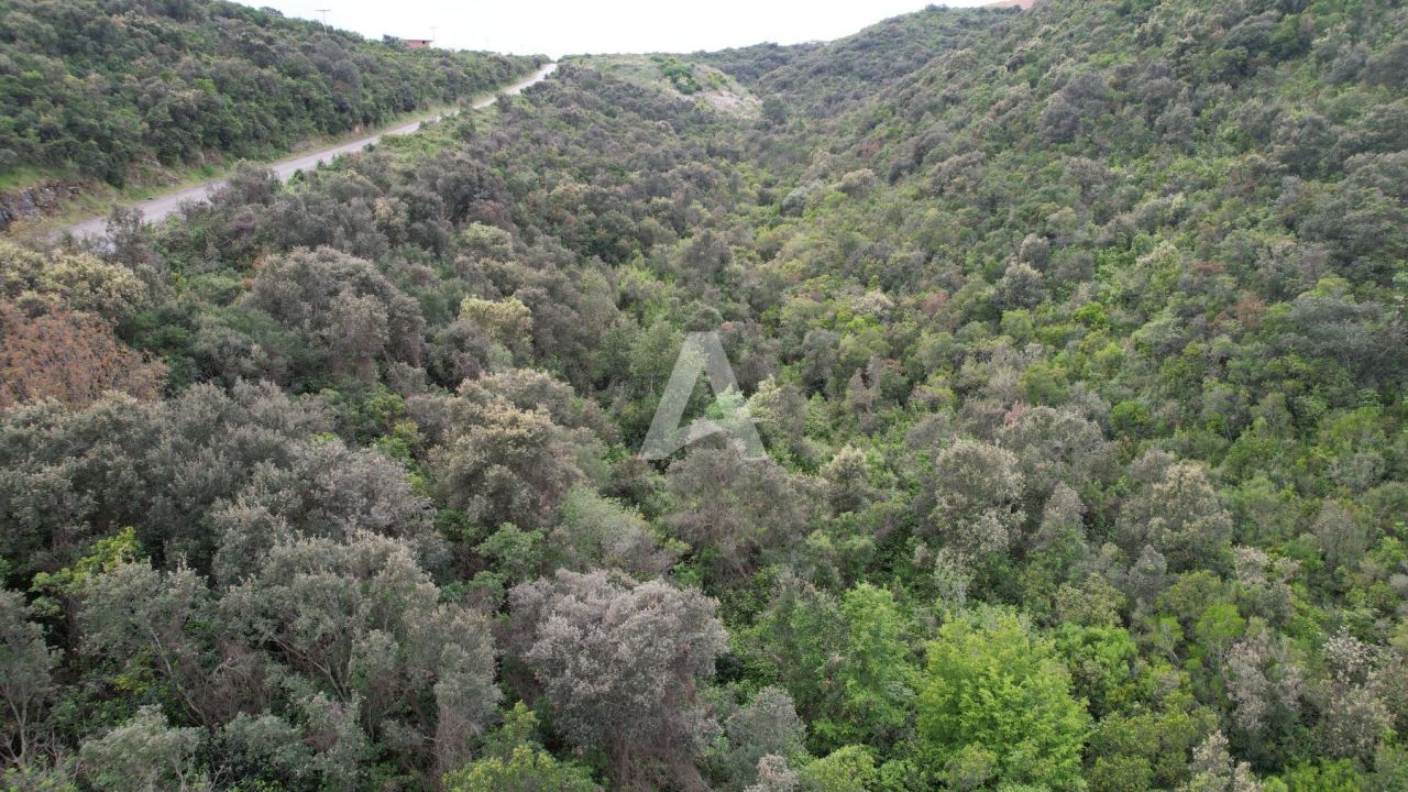 Земля в Которе, Черногория, 3 585 м² - фото 17