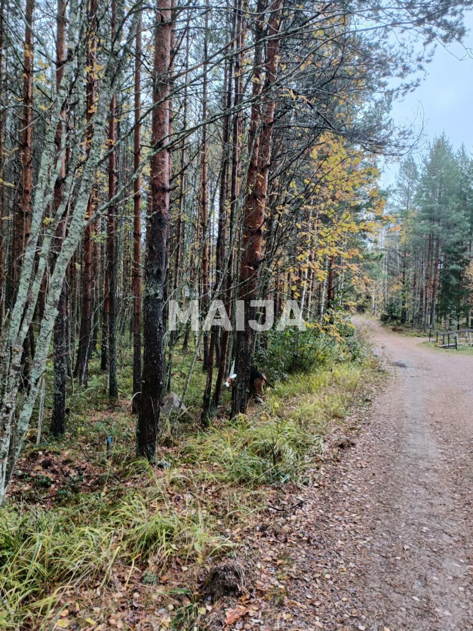 Земля в Мянтюхарью, Финляндия, 8 330 м² - фото 1