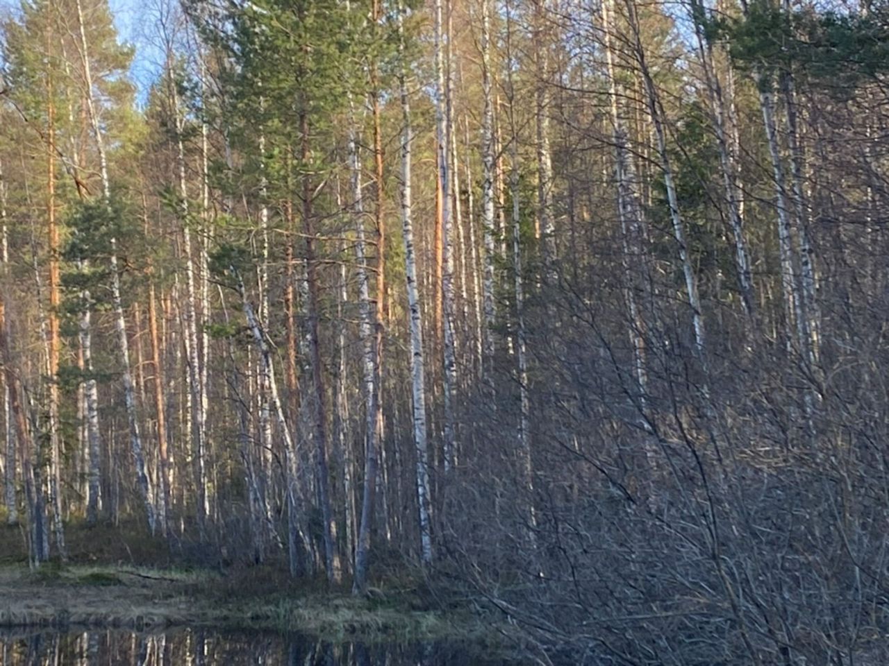 Коттедж в Руоколахти, Финляндия, 25 м² - фото 13