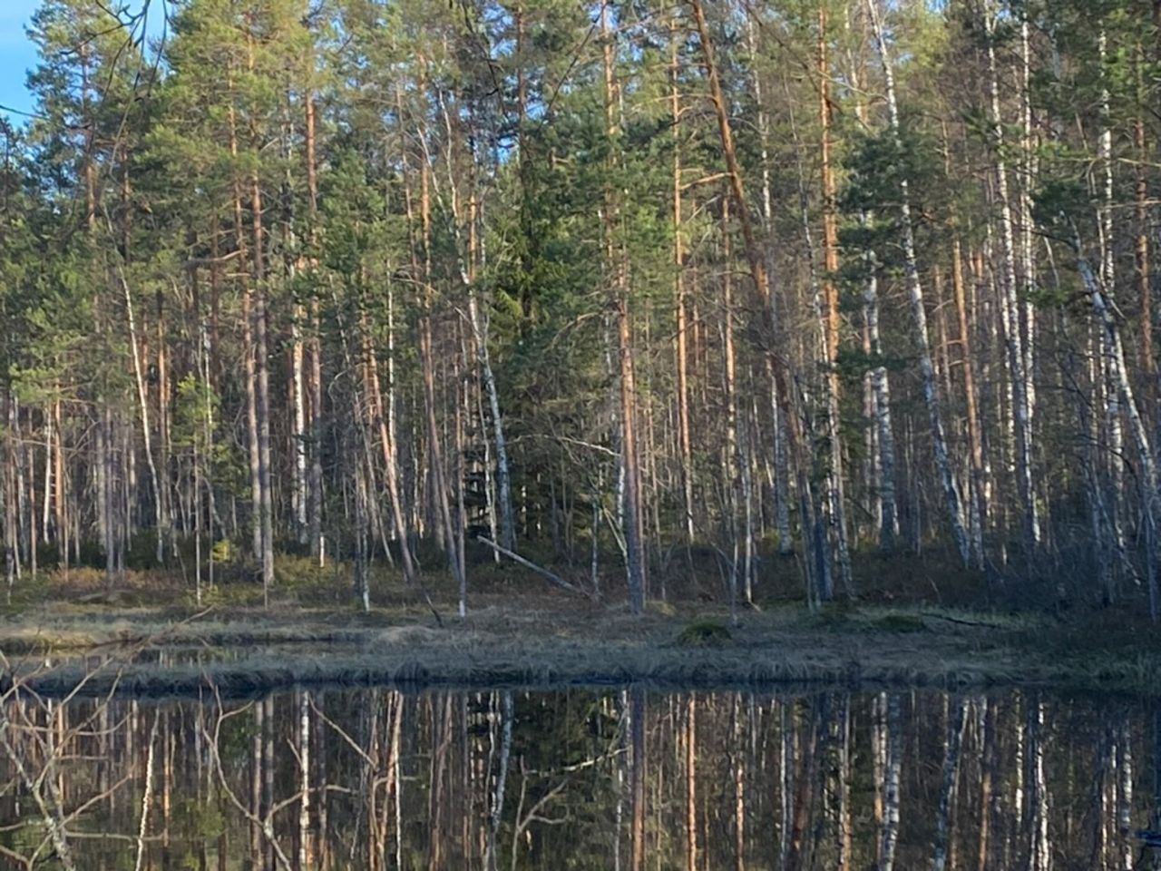 Коттедж в Руоколахти, Финляндия, 25 м² - фото 12