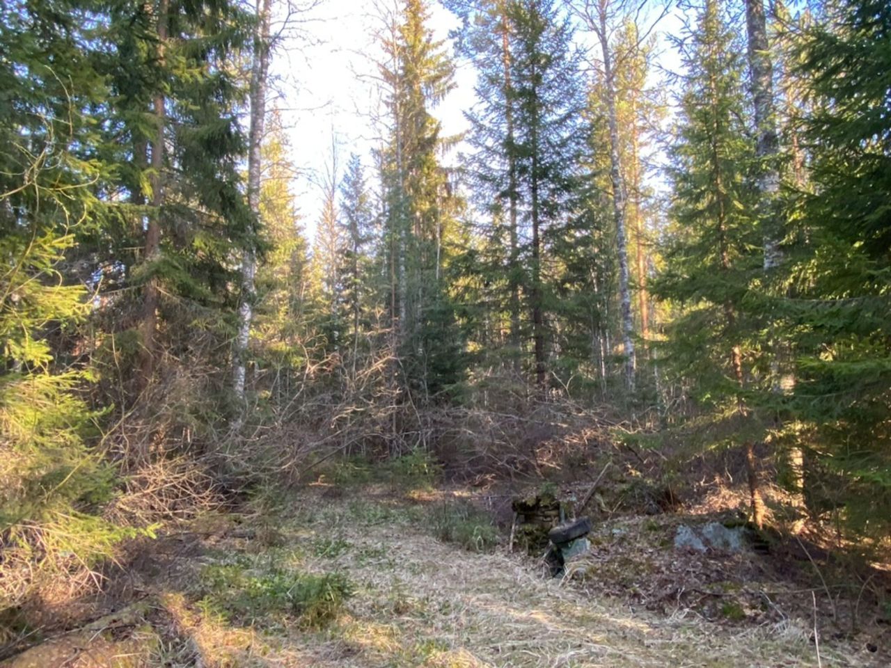 Коттедж в Руоколахти, Финляндия, 25 м² - фото 8