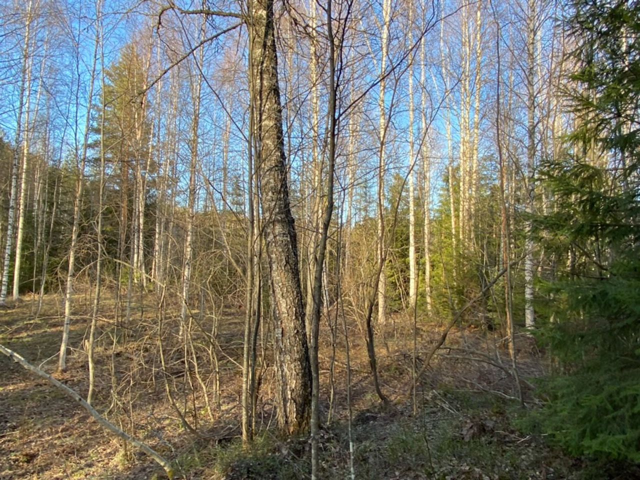 Коттедж в Руоколахти, Финляндия, 25 м² - фото 7