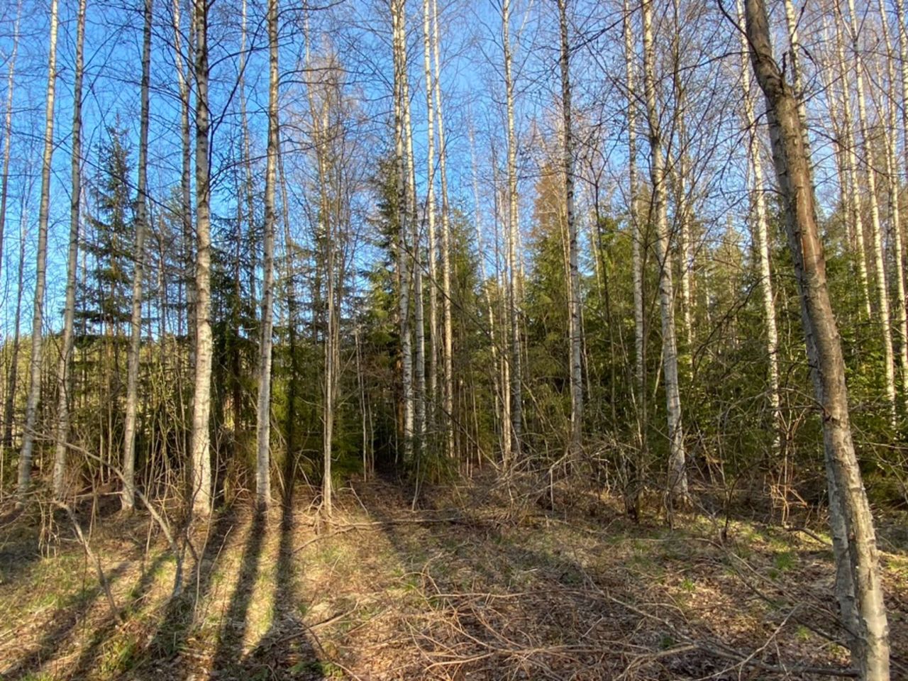 Коттедж в Руоколахти, Финляндия, 25 м² - фото 10