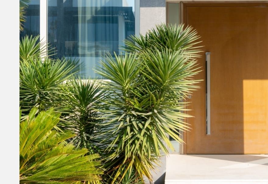 Вилла в Дубае, ОАЭ, 650 м² - фото 11