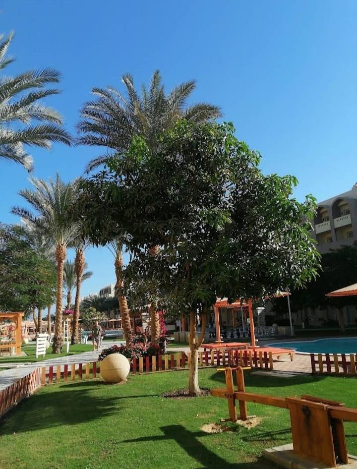 Квартира в Хургаде, Египет, 71 м² - фото 4