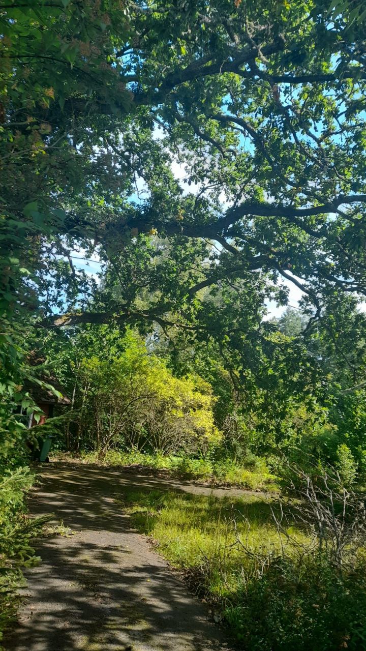 Поместье в Стокгольме, Швеция, 100 м² - фото 3