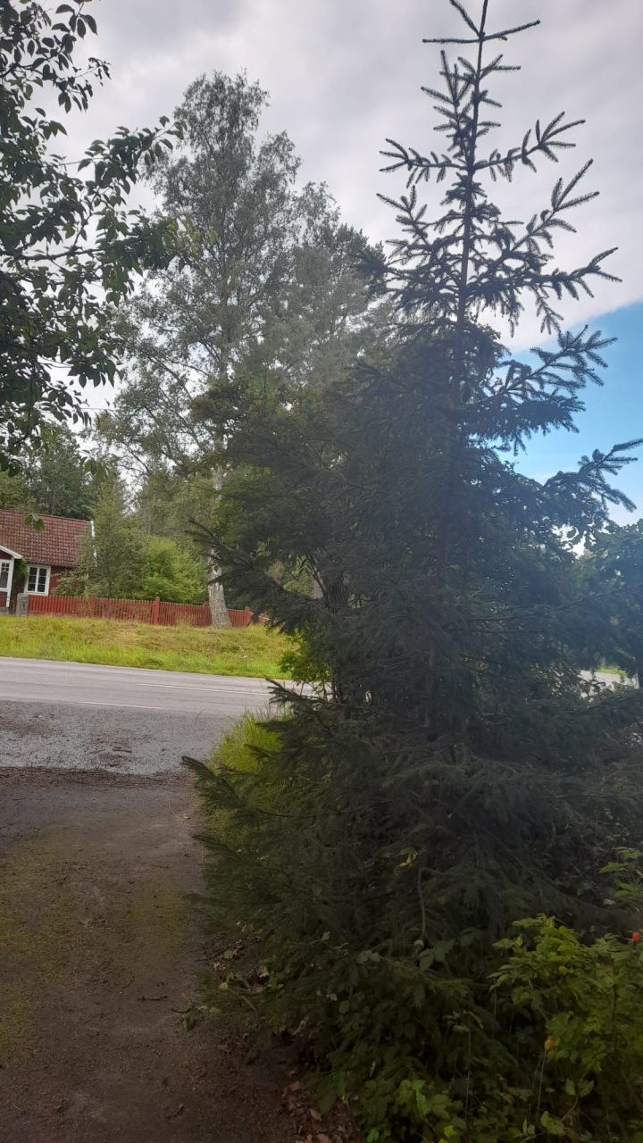 Поместье в Стокгольме, Швеция, 100 м² - фото 4