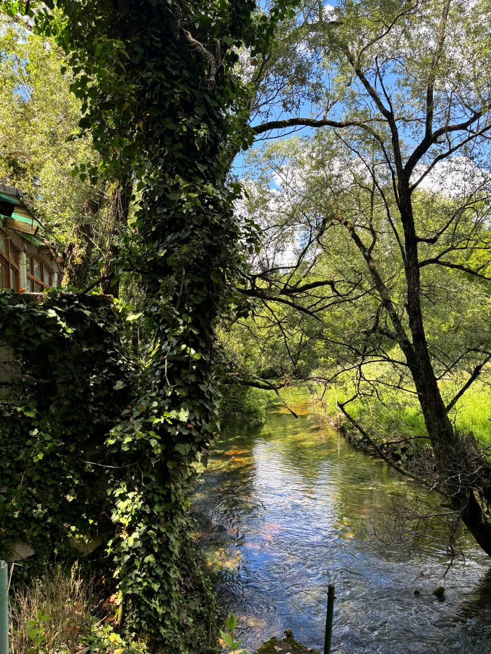 Дом в Никшиче, Черногория, 90 м² - фото 7