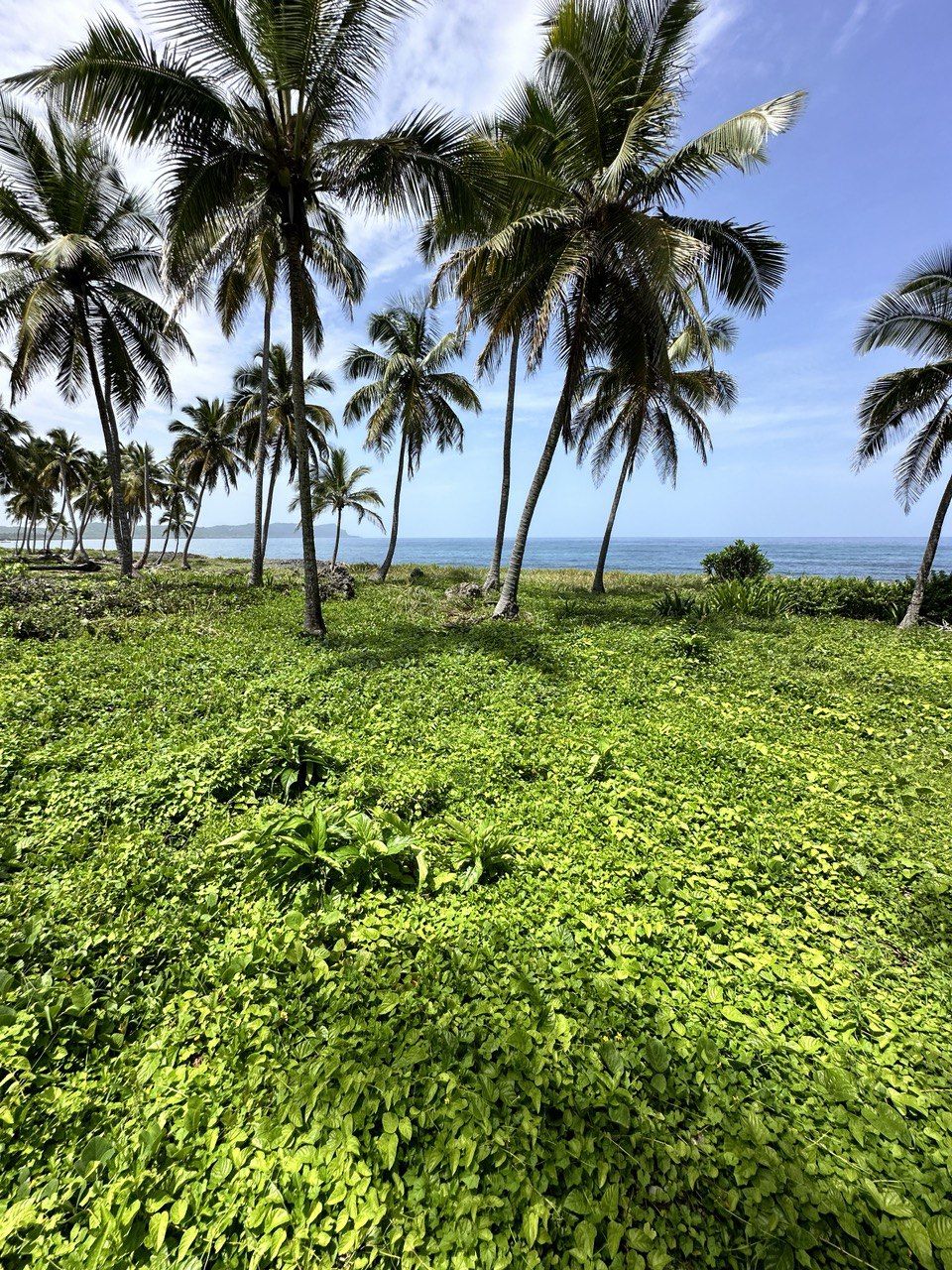 Земля в Самане, Доминиканская Республика, 850 м² - фото 4