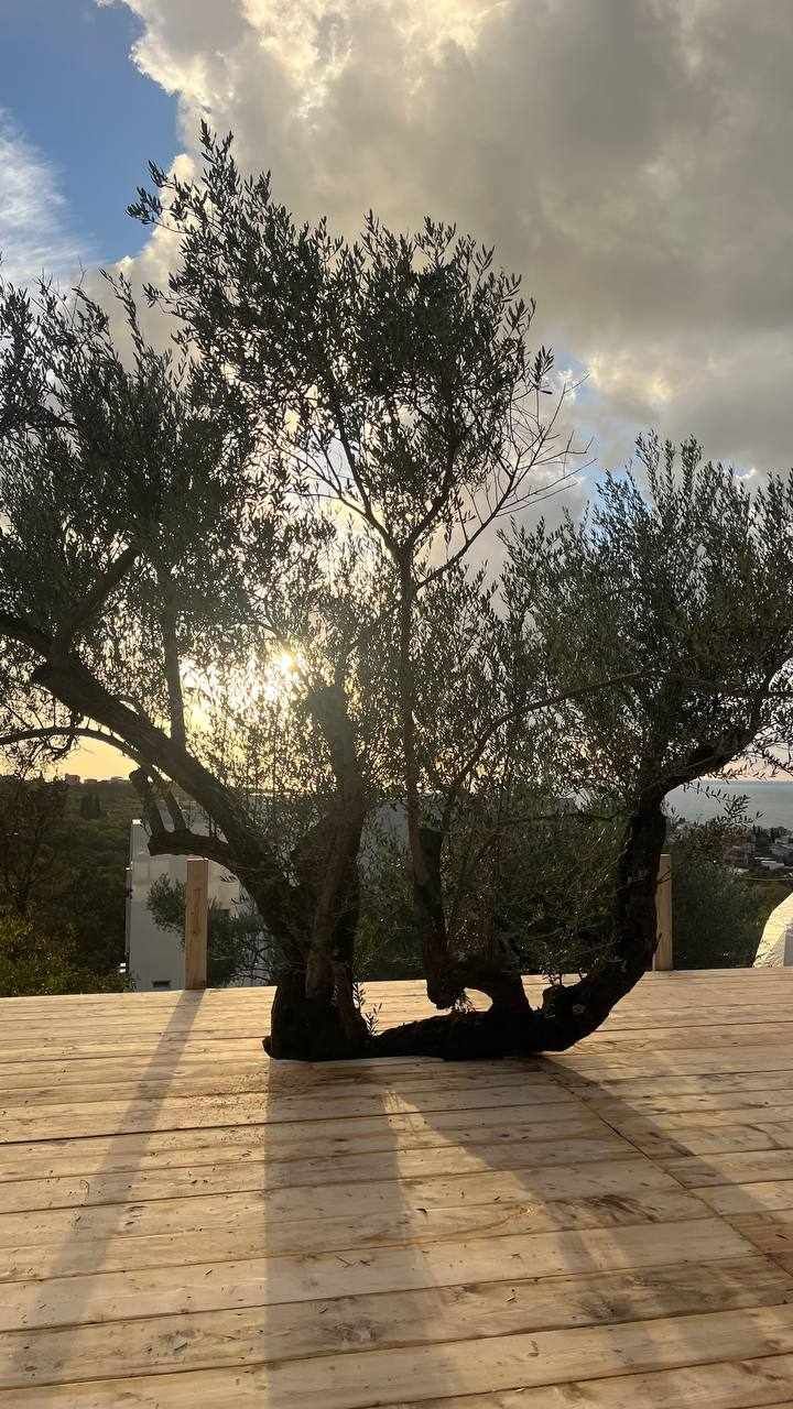 Квартира в Добра Воде, Черногория, 44 м² - фото 5