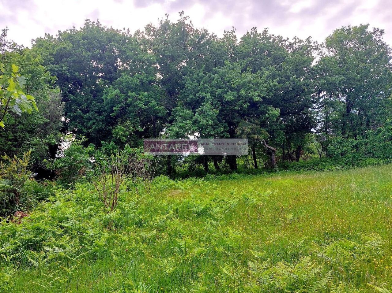 Земля в Дженовичах, Черногория, 981 м² - фото 2