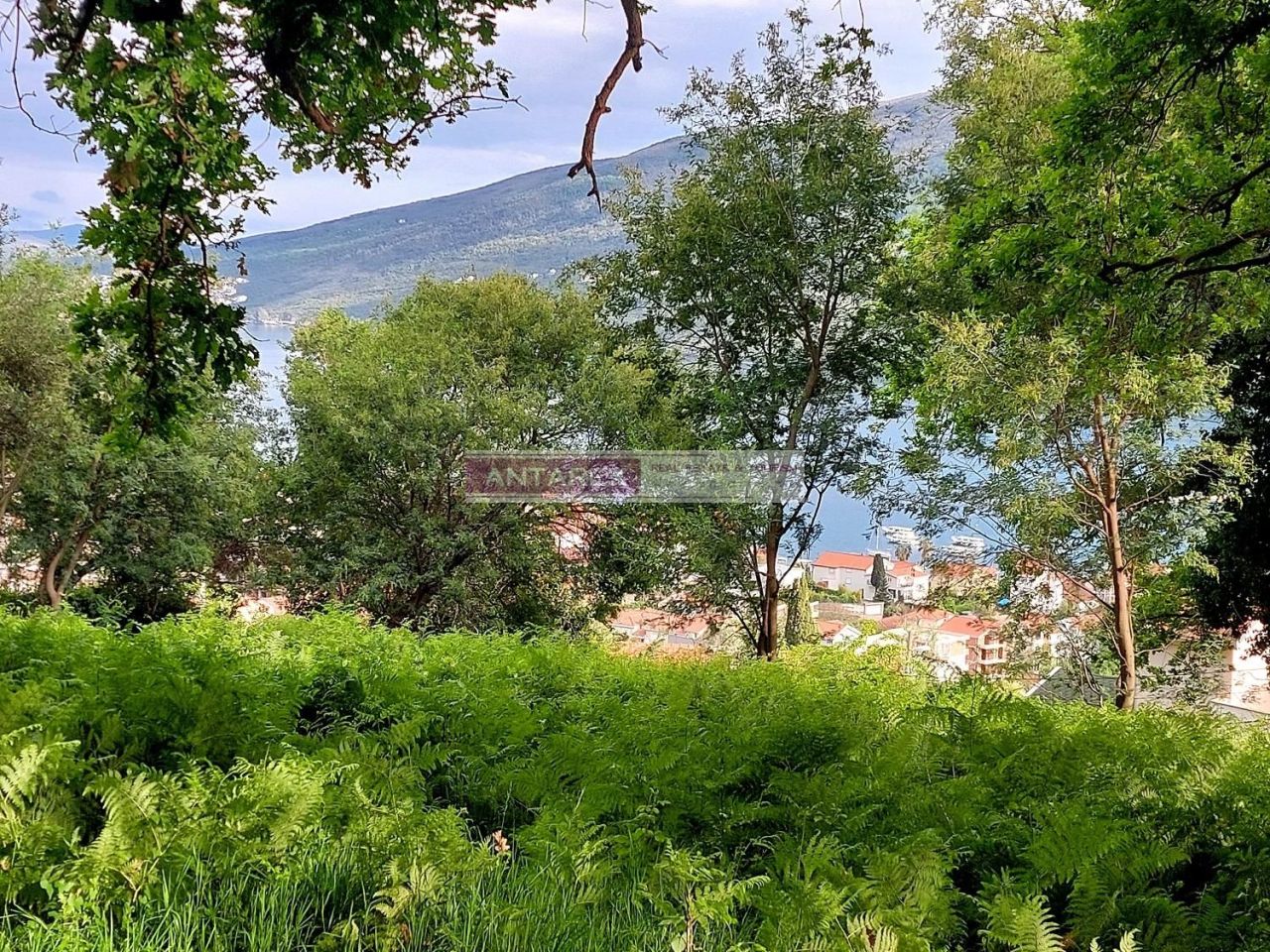 Земля в Дженовичах, Черногория, 981 м² - фото 5