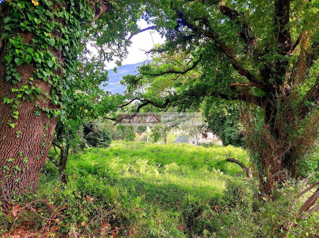 Земля в Дженовичах, Черногория, 981 м² - фото 6