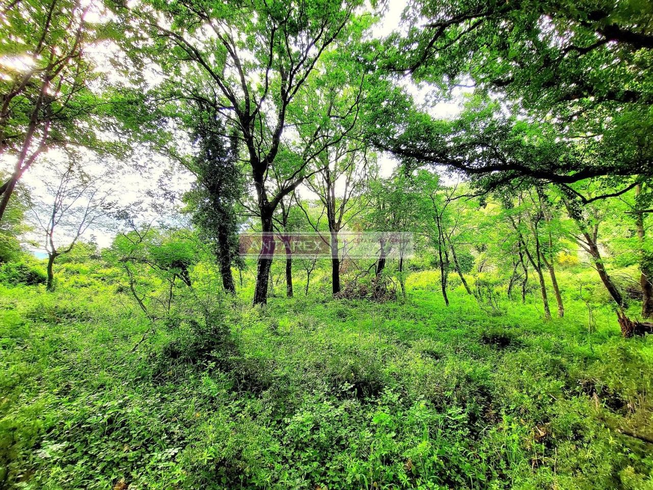 Земля в Дженовичах, Черногория, 981 м² - фото 7