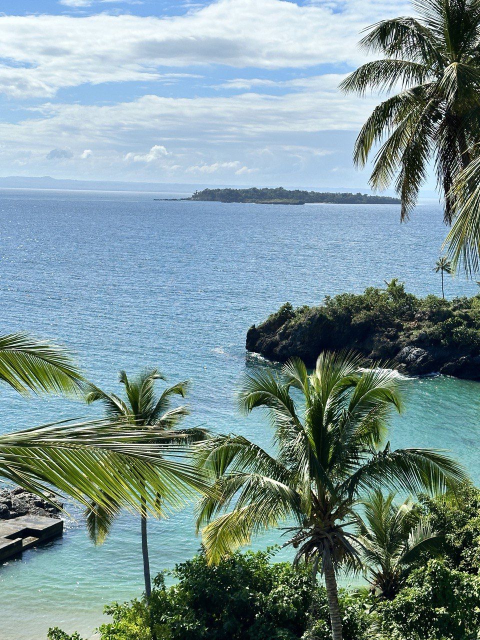 Апартаменты в Самане, Доминиканская Республика, 80 м² - фото 4