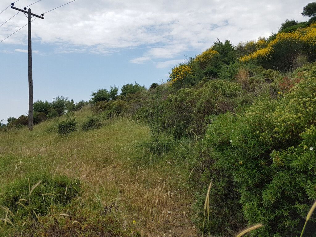 Земля в Ситонии, Греция, 4 396 м² - фото 8