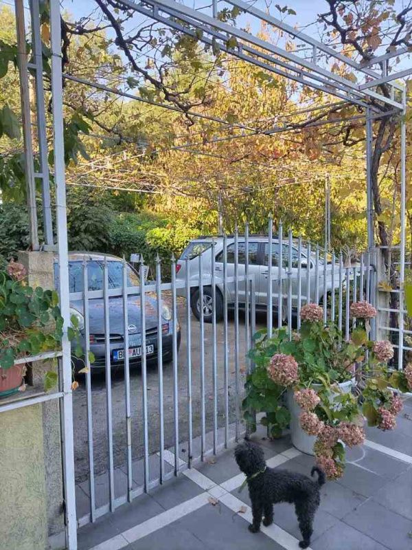 Дом в Будве, Черногория, 330 м² - фото 10