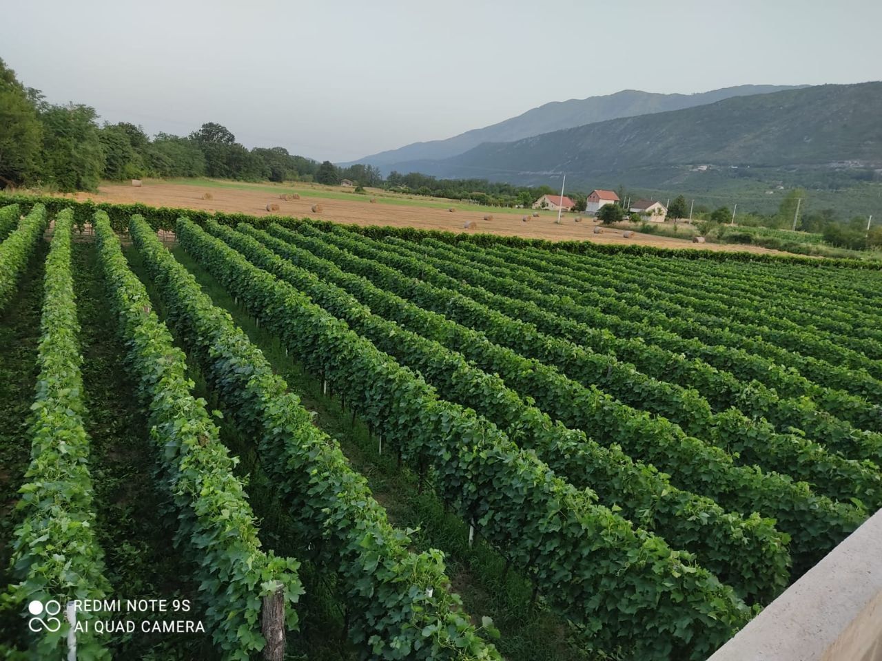 Коммерческая недвижимость в Даниловграде, Черногория, 6 000 м² - фото 3