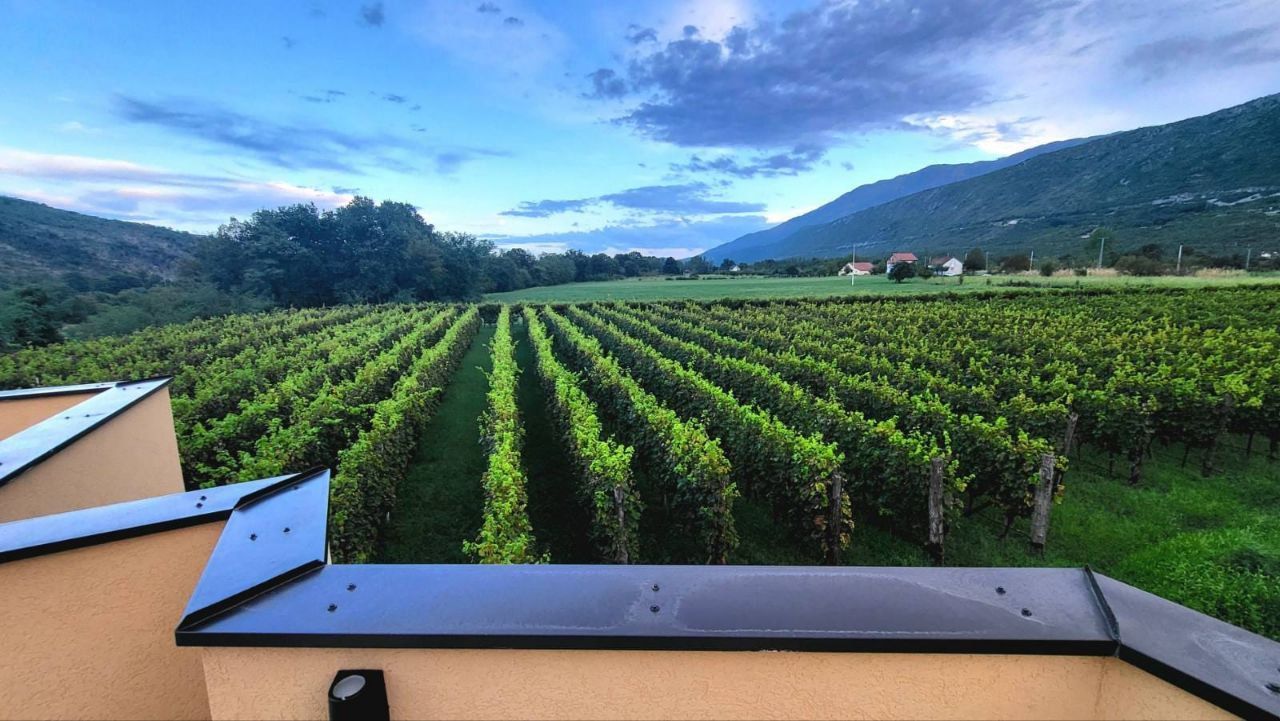 Коммерческая недвижимость в Даниловграде, Черногория, 6 000 м² - фото 18