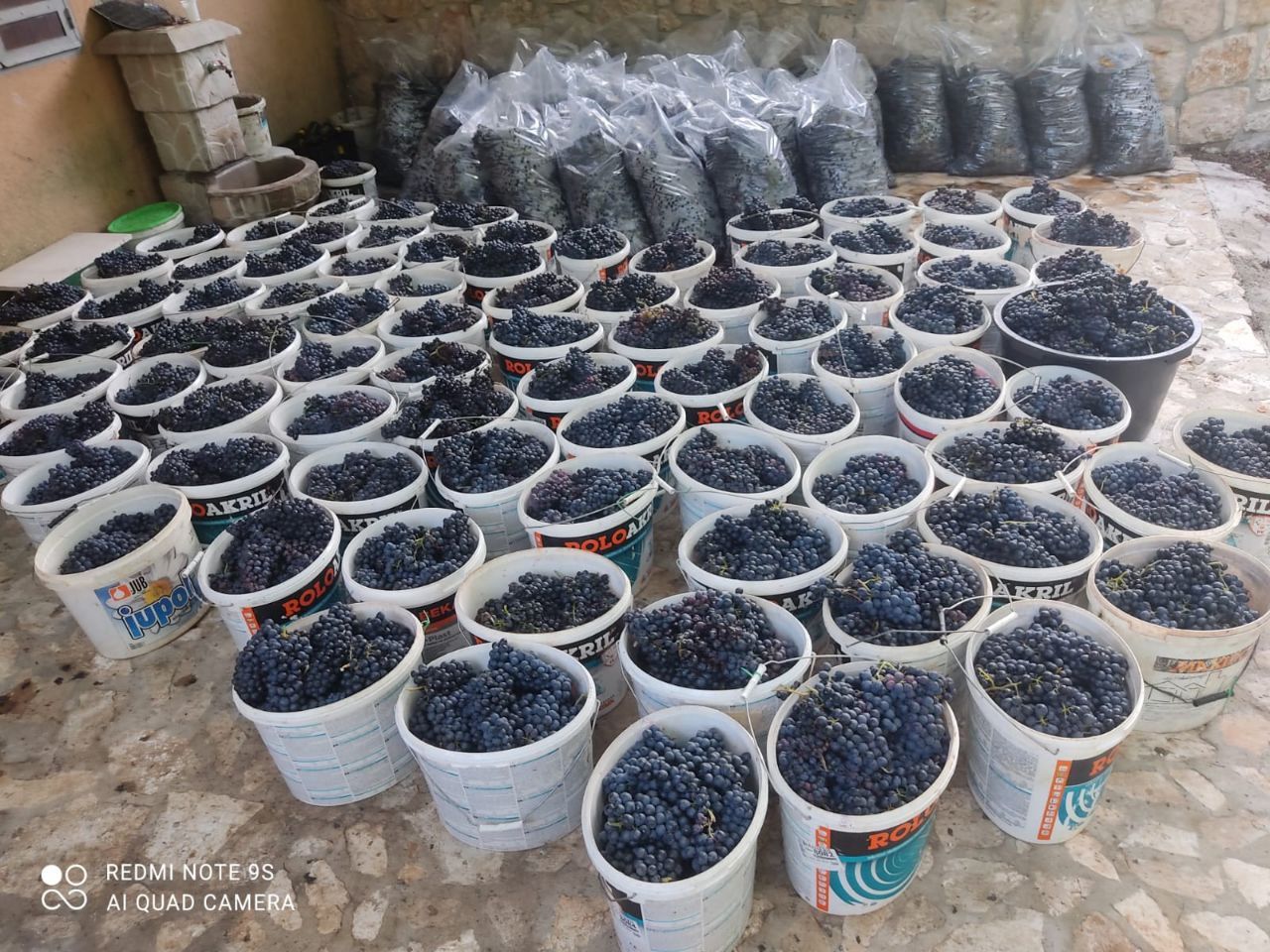 Коммерческая недвижимость в Даниловграде, Черногория, 6 000 м² - фото 15