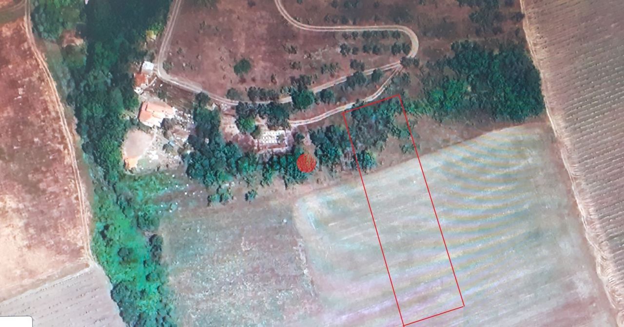 Земля в Поморие, Болгария, 3 003 м² - фото 5