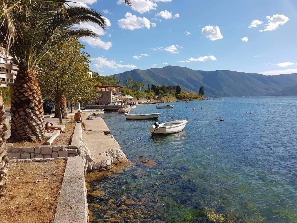 Земля в Рисане, Черногория, 2 180 м² - фото 10