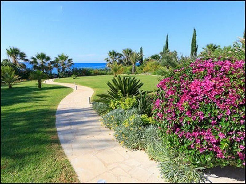 Вилла в Пафосе, Кипр, 329 м² - фото 2