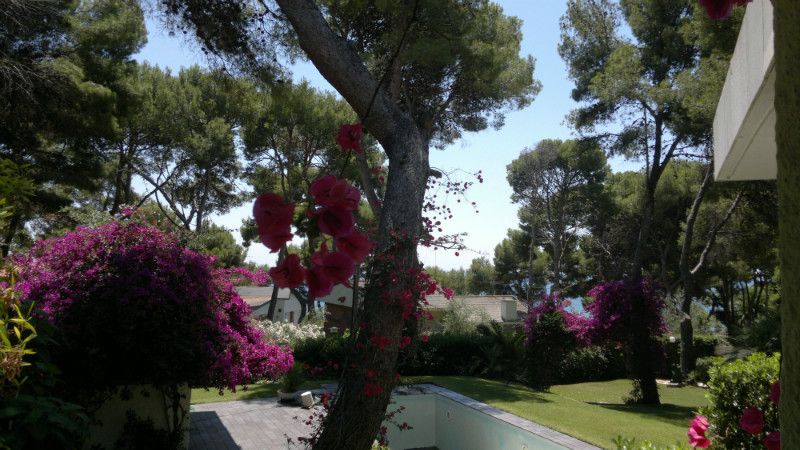 Шале в Рода-де-Баре, Испания, 250 м² - фото 7