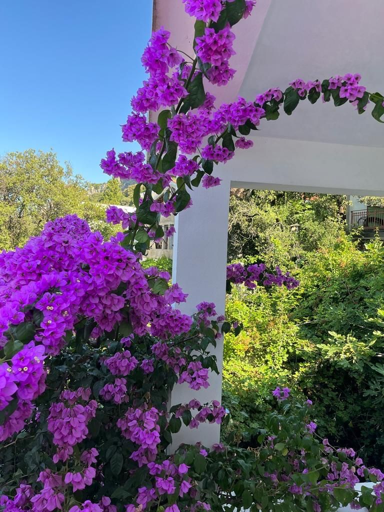 Дом в Круче, Черногория, 80 м² - фото 2