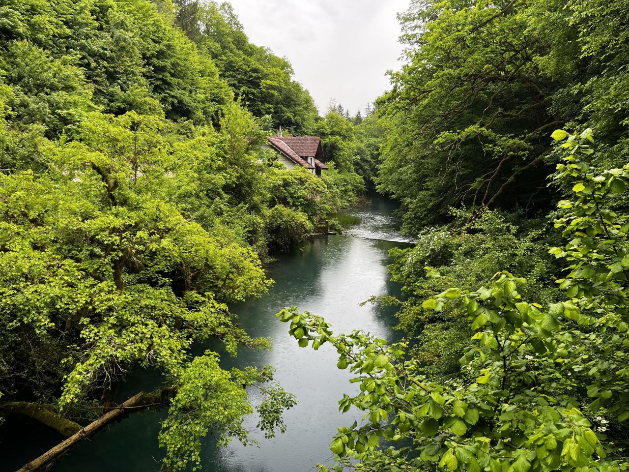 Дом под реконструкцию в Чрномеле, Словения, 350 м² - фото 9