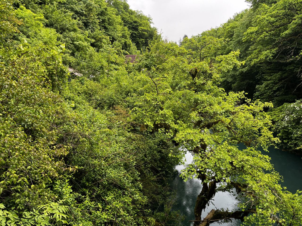 Дом под реконструкцию в Чрномеле, Словения, 350 м² - фото 8