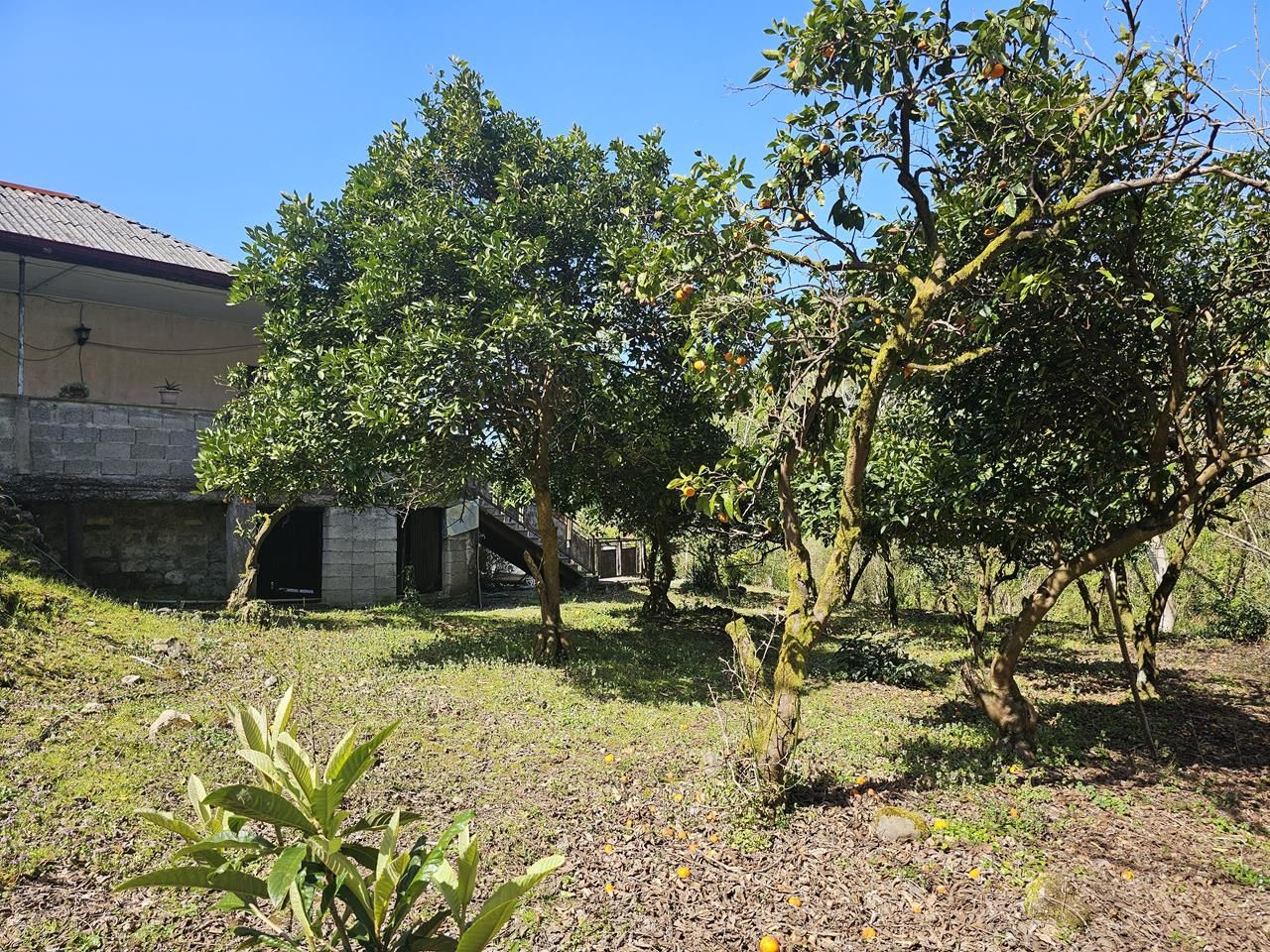 Дом в Батуми, Грузия, 200 м² - фото 2