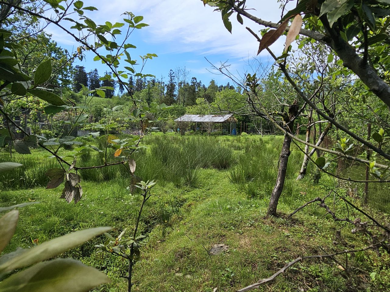 Земля в Батуми, Грузия, 505 м² - фото 7