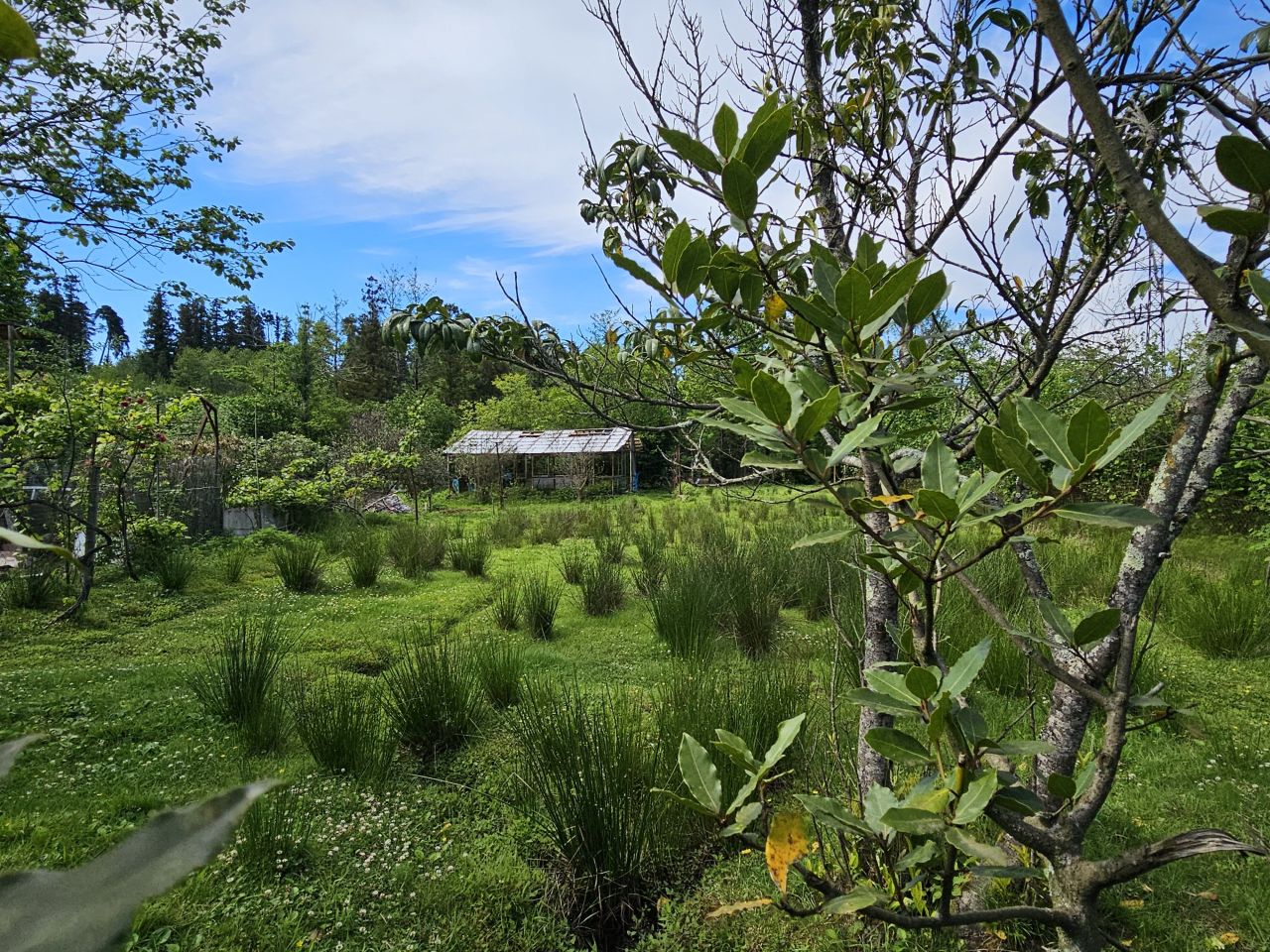 Земля в Батуми, Грузия, 505 м² - фото 3