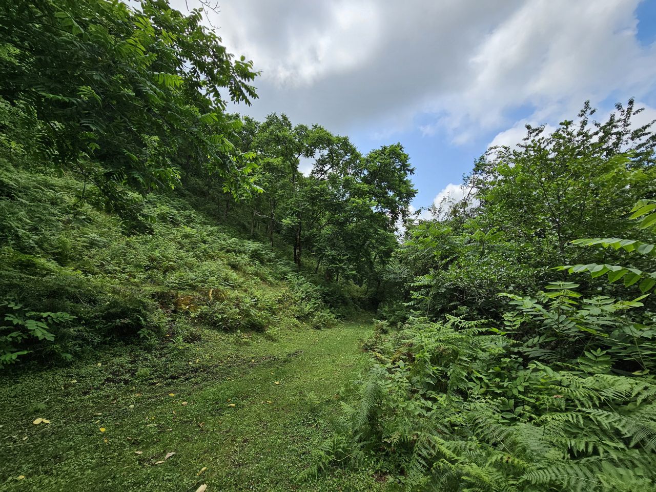 Земля в Батуми, Грузия, 12 000 м² - фото 8