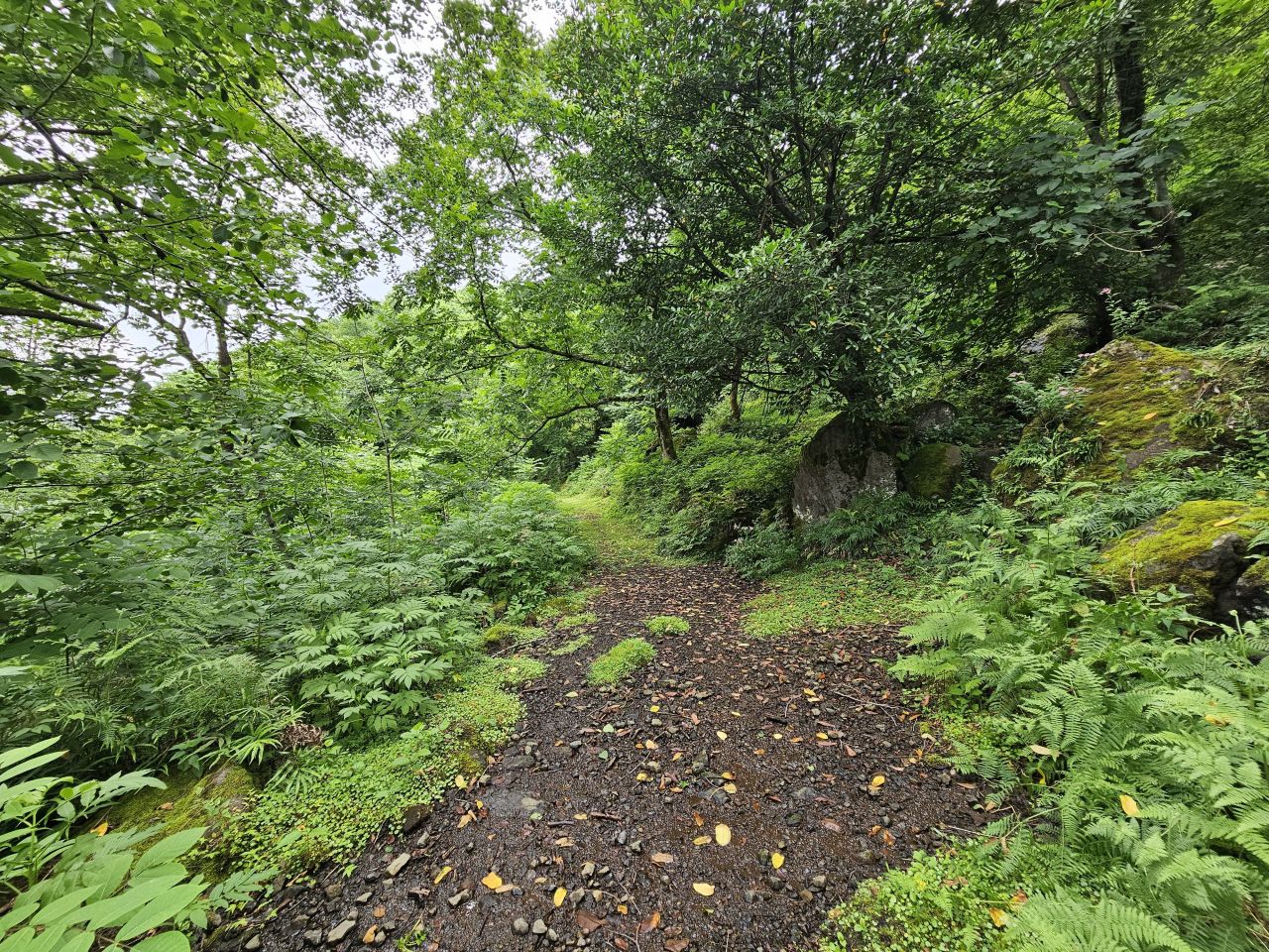 Земля в Батуми, Грузия, 12 000 м² - фото 10