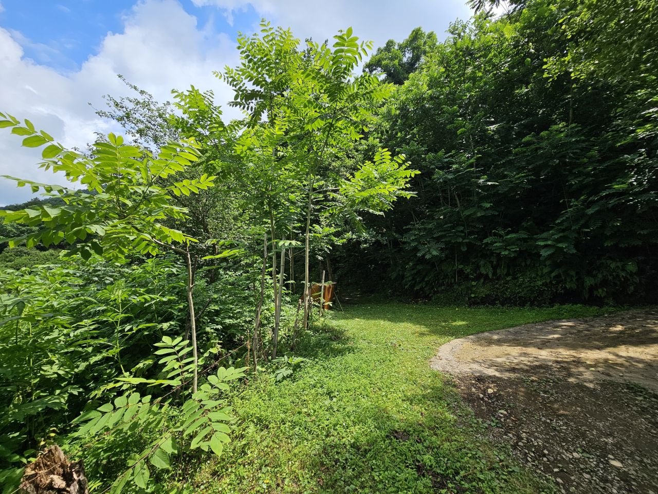 Земля в Батуми, Грузия, 12 000 м² - фото 6