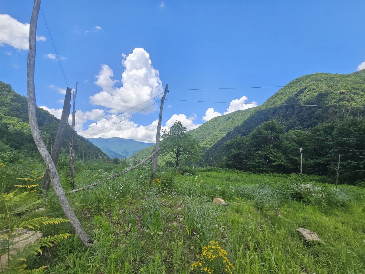 Земля в Батуми, Грузия, 2 800 м² - фото 6