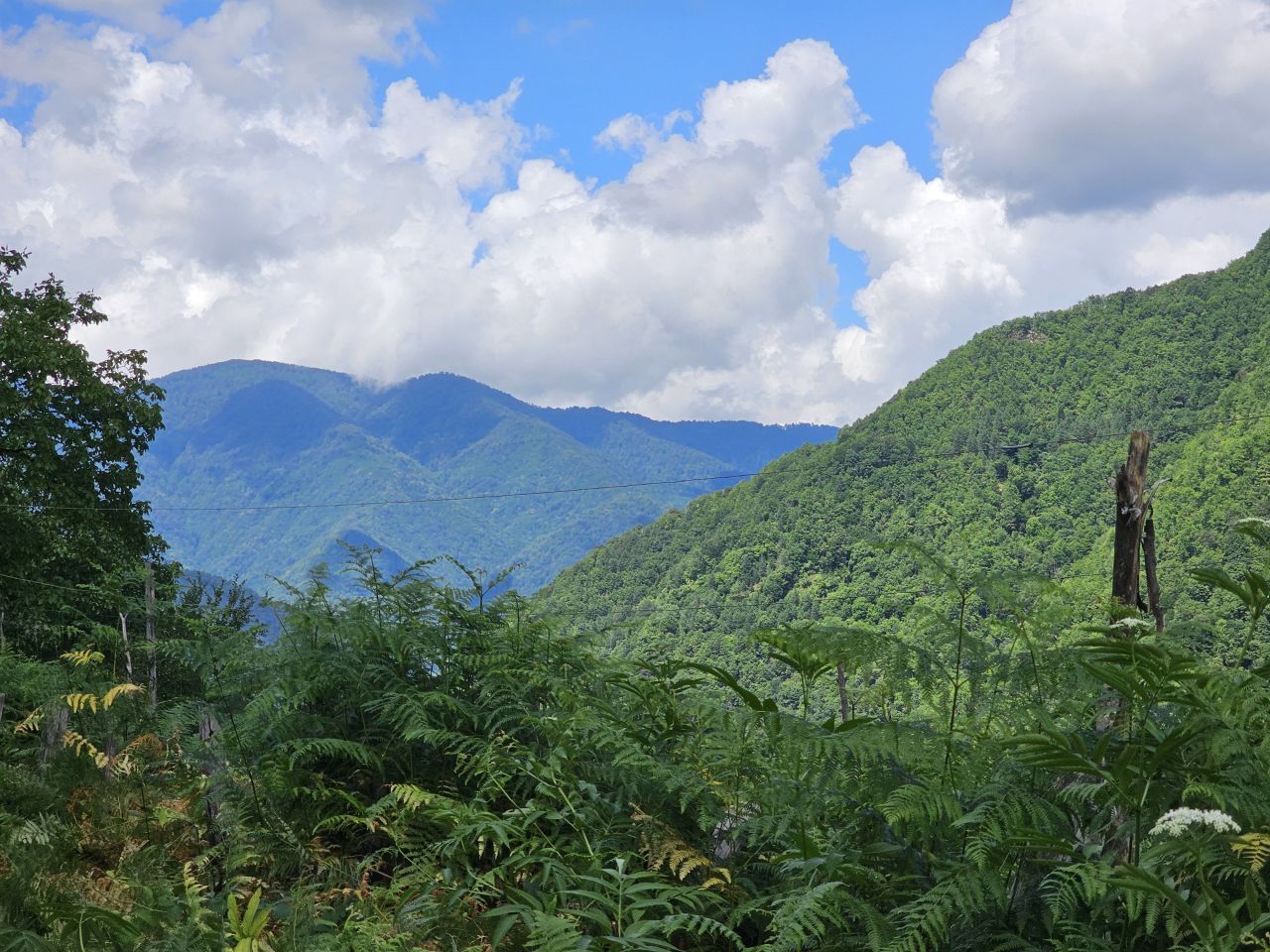 Земля в Батуми, Грузия, 2 800 м² - фото 4