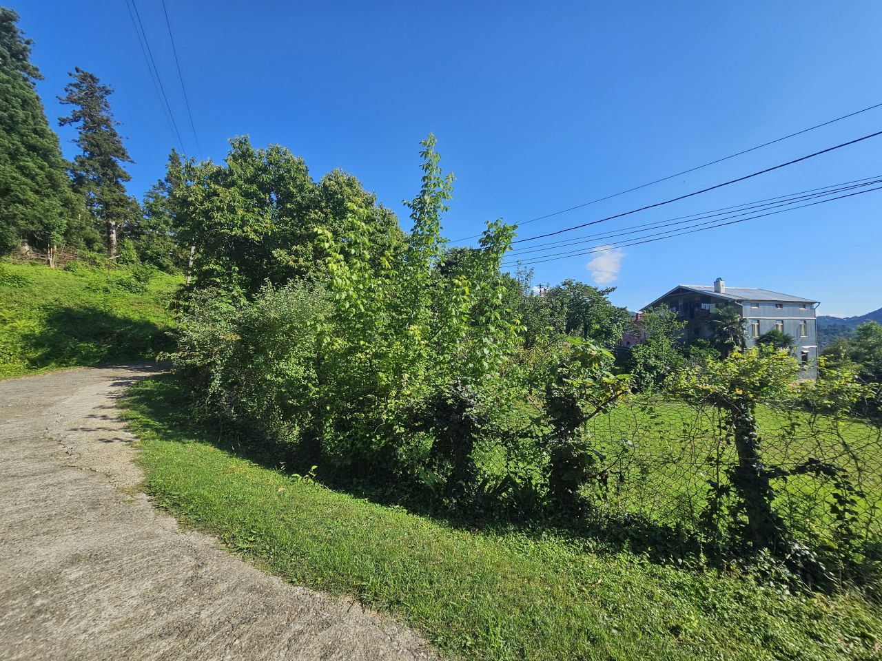 Земля в Батуми, Грузия, 2 800 м² - фото 2