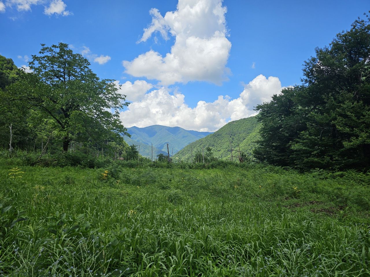 Земля в Батуми, Грузия, 2 800 м² - фото 11