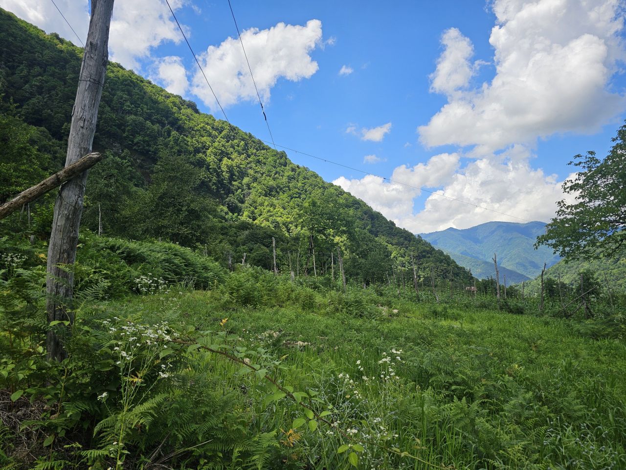 Земля в Батуми, Грузия, 2 800 м² - фото 7