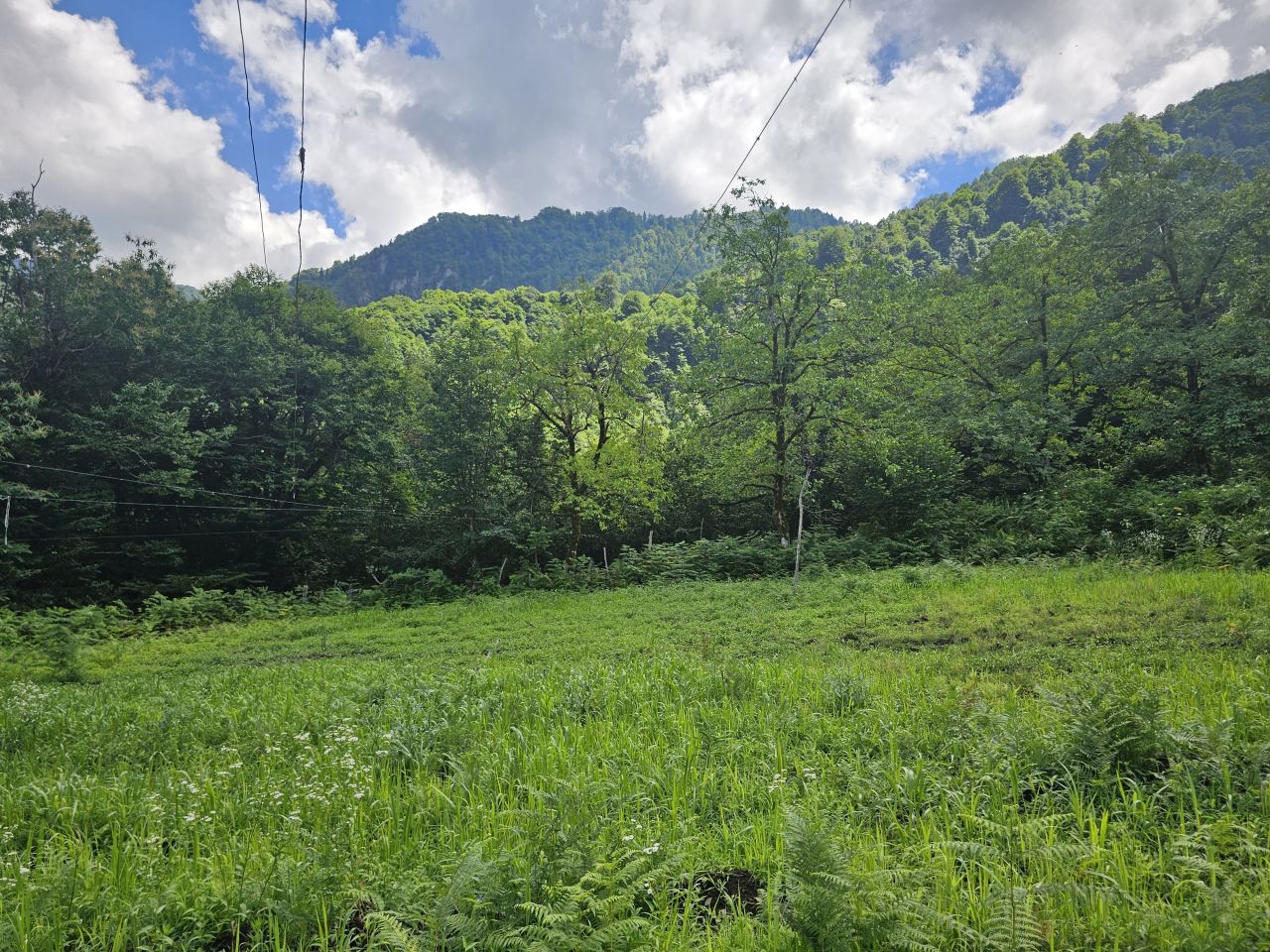 Земля в Батуми, Грузия, 2 800 м² - фото 8