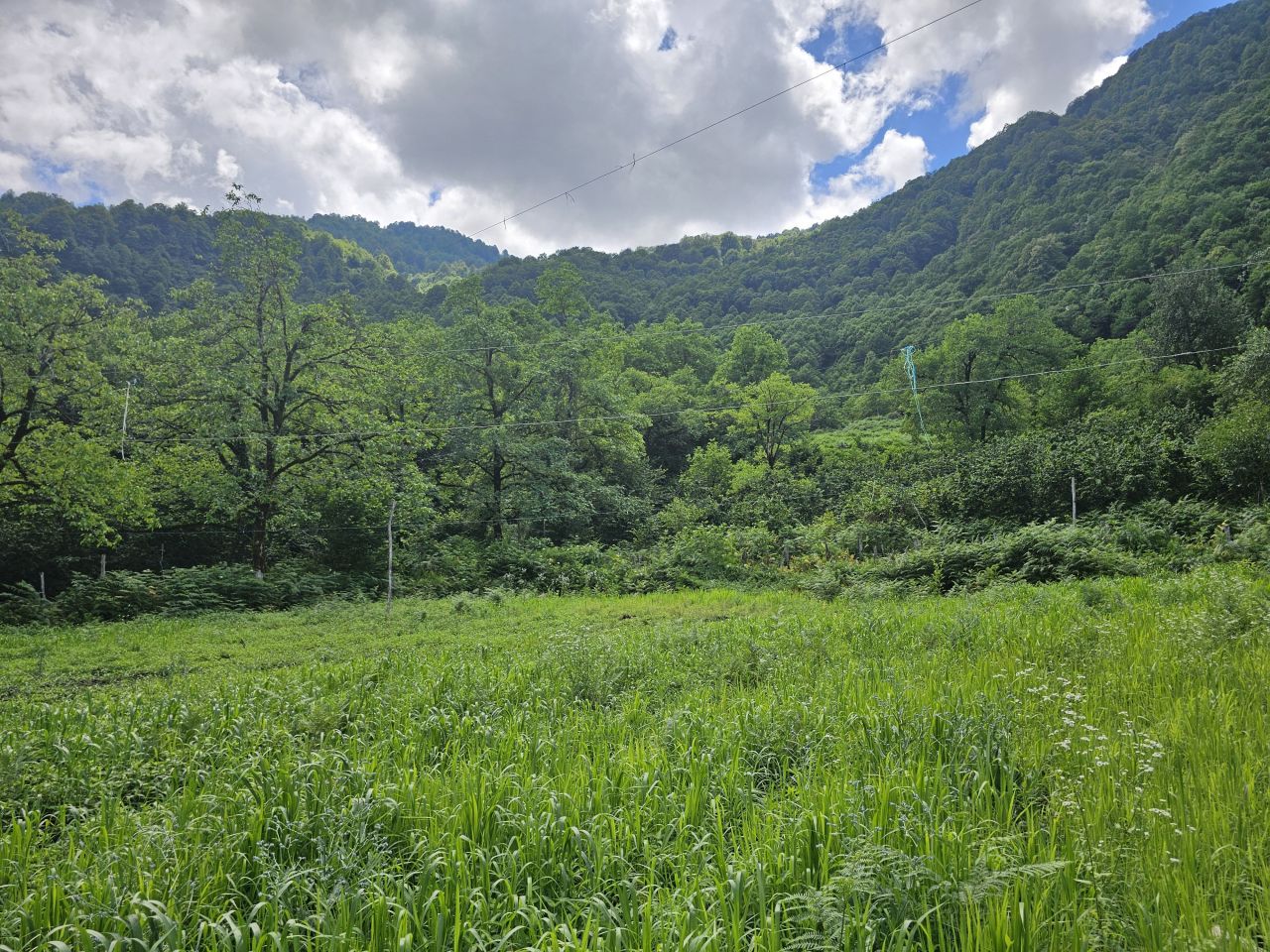 Земля в Батуми, Грузия, 2 800 м² - фото 13