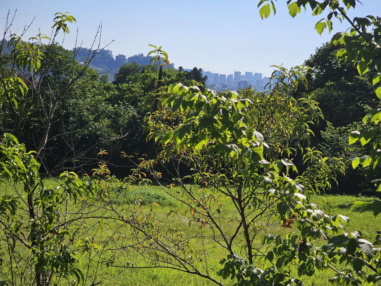 Земля в Батуми, Грузия, 2 800 м² - фото 18