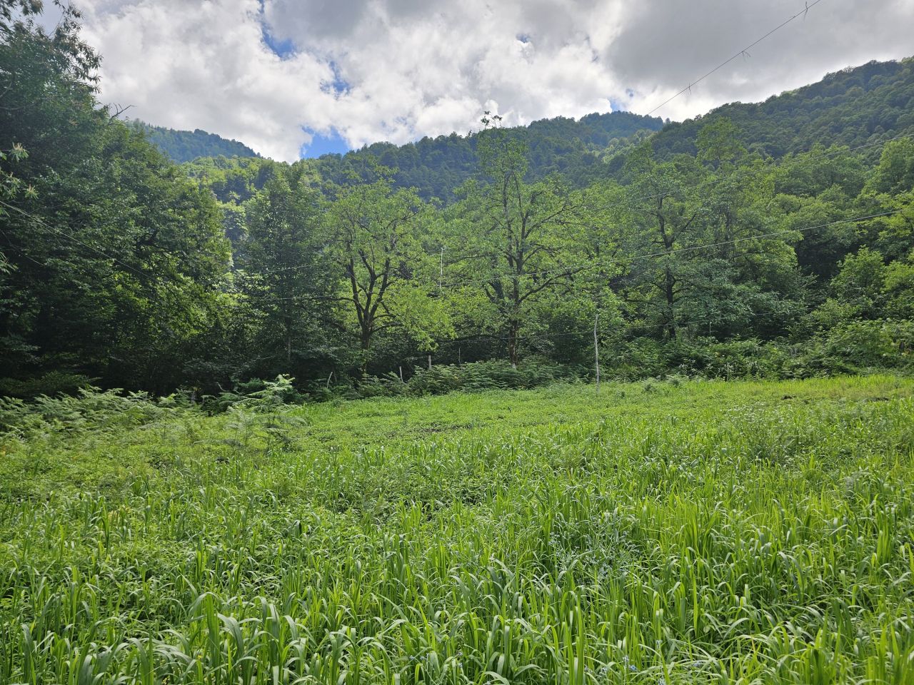 Земля в Батуми, Грузия, 2 800 м² - фото 9