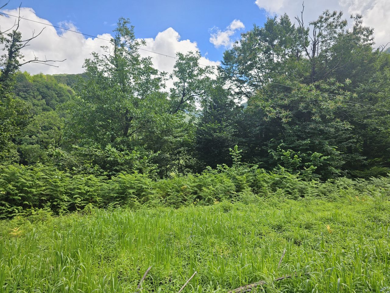 Земля в Батуми, Грузия, 2 800 м² - фото 10