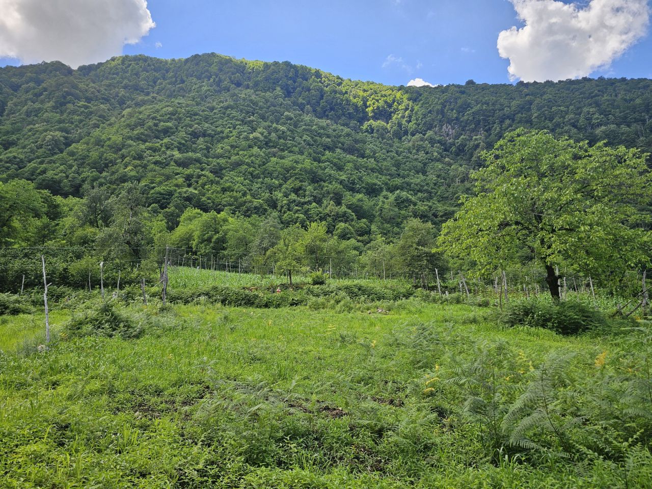 Земля в Батуми, Грузия, 2 800 м² - фото 15